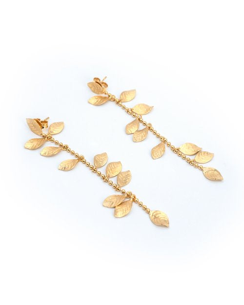 Brinco Péperomia