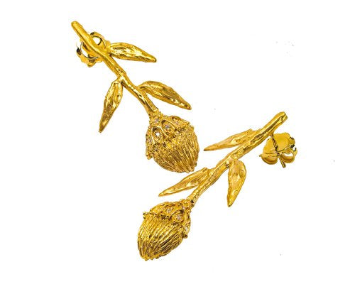 Brinco Protea